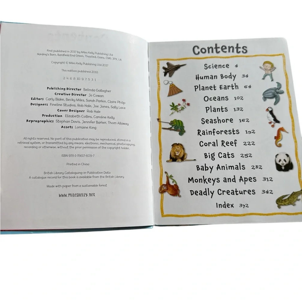 My Fun Book of Questions and Answers by Miles Kelly in EUC - Picture 2 of 4